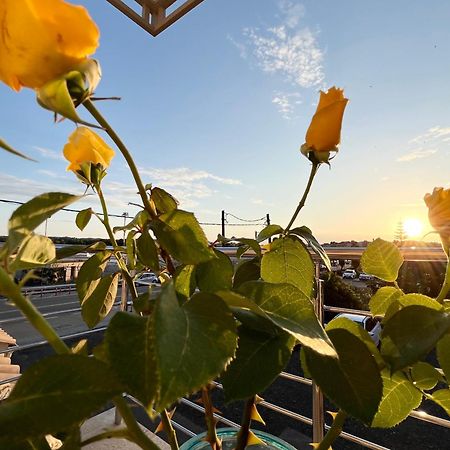 Corfu Airport Sweet Studio Exterior foto
